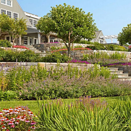 Landscape Construction