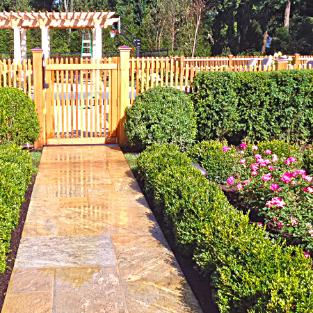 Perennials & Garden Care